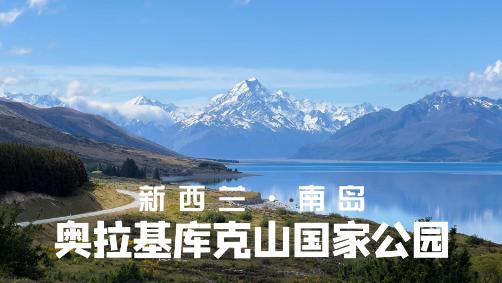 解析新西兰留学、移民、1096体检内容