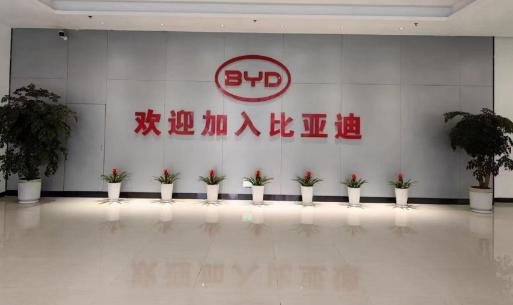 深圳比亚迪入职体检是不是很严?体检不合格如何应对？