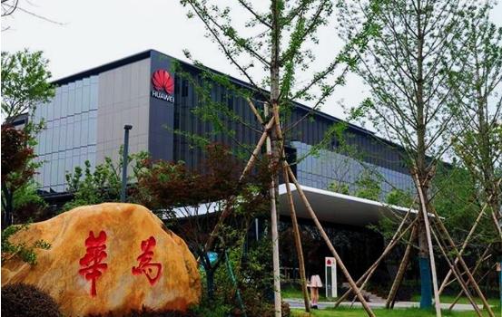 华为入职体检，有哪些“雷区”不能踩？