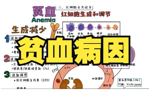 做入职体检血常规贫血，有通过体检的办法吗？