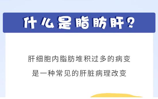 别让脂肪肝成了公务员体检的绊脚石，快来看应对方案！