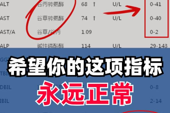 转氨酶偏高被淘汰？考公人必看的体检过关指南！