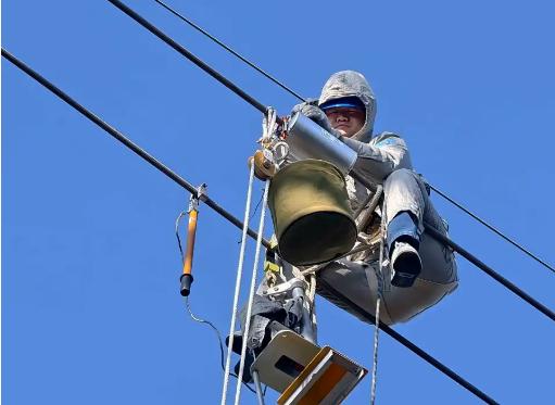 国家电网入职体检查不查甲状腺？真相为您揭秘！