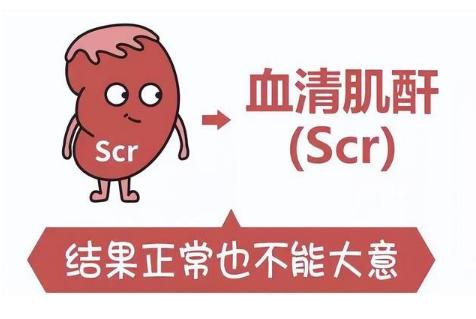 公务员体检肌酐临界值会影响体检结果吗？