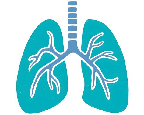 快看过来！做公务员体检有这些肺部疾病可能无法通过！