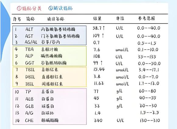 入职体检发现肝功能异常，该如何应对处理？